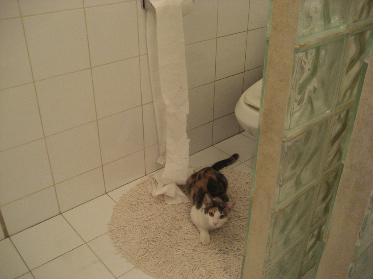 kaiyun sports-中国篮球青训课程体系多元化建设及评价体系研究,青少年篮球培训课程体系