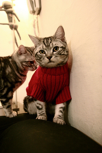 开云体育官网-新闻中心落实质量安全标准,新闻报道质量提升方案