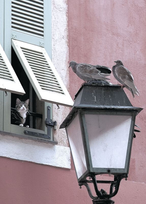 开云体育首页-体育新闻中心深化体育新闻图片数据库扩建工程，体育新闻报道范文大全